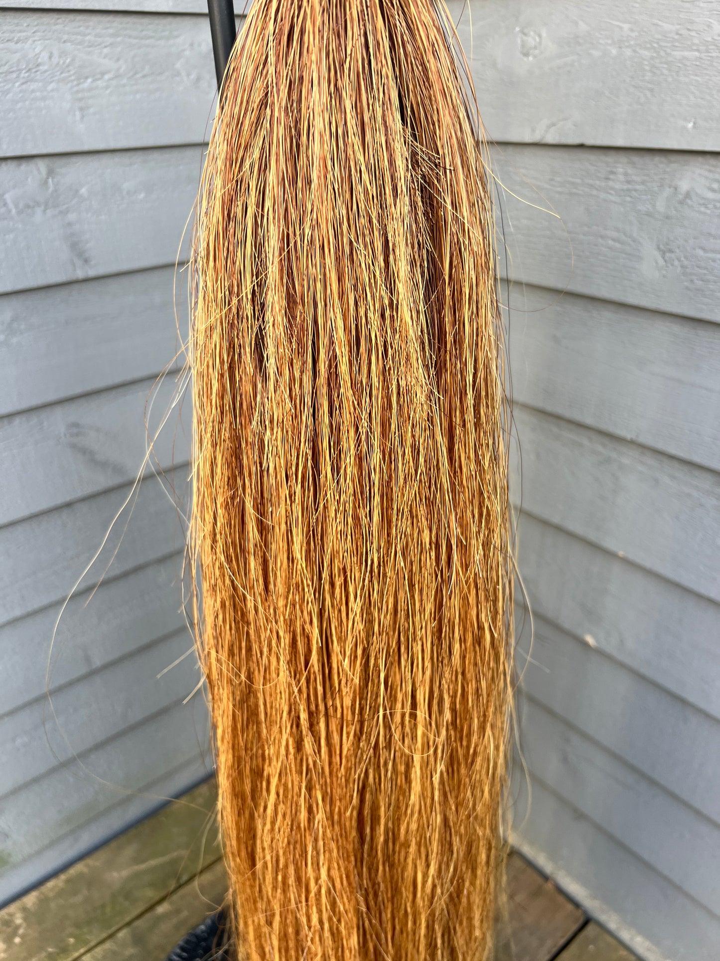 Light Chestnut Tail Extension
