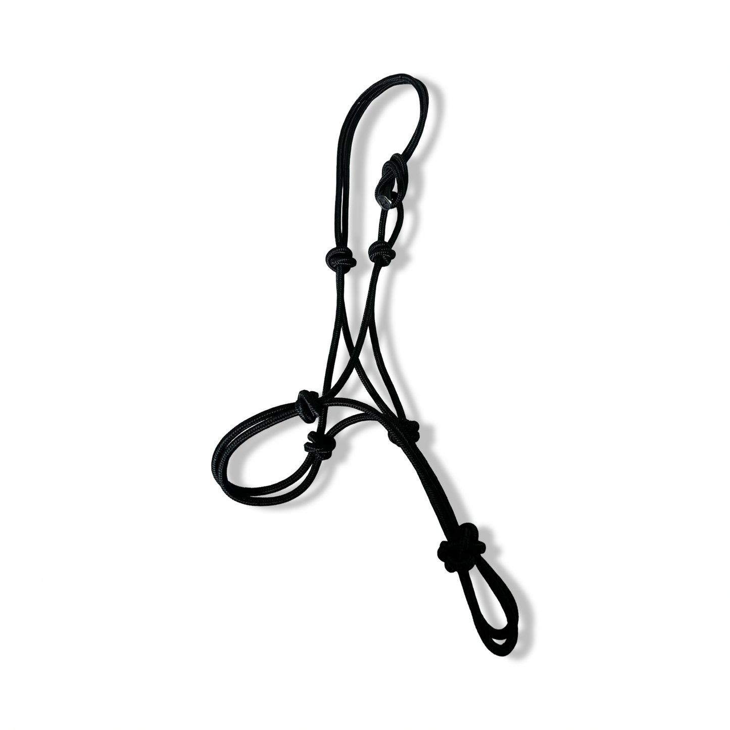 Rope Halter with Lead Rope