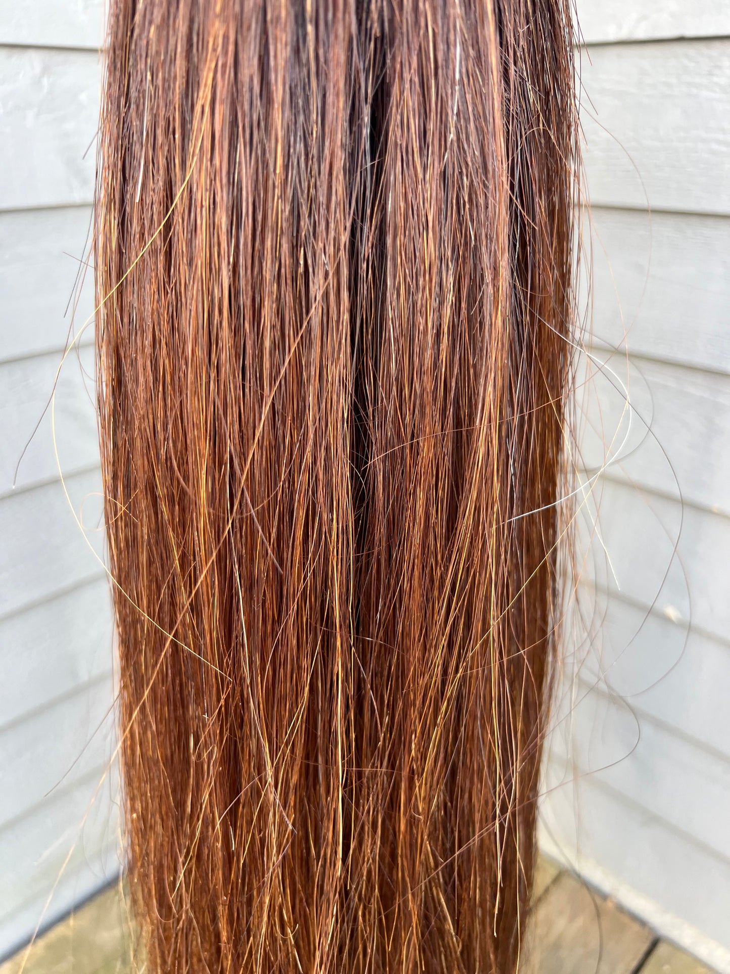 Medium Chestnut Tail Extension
