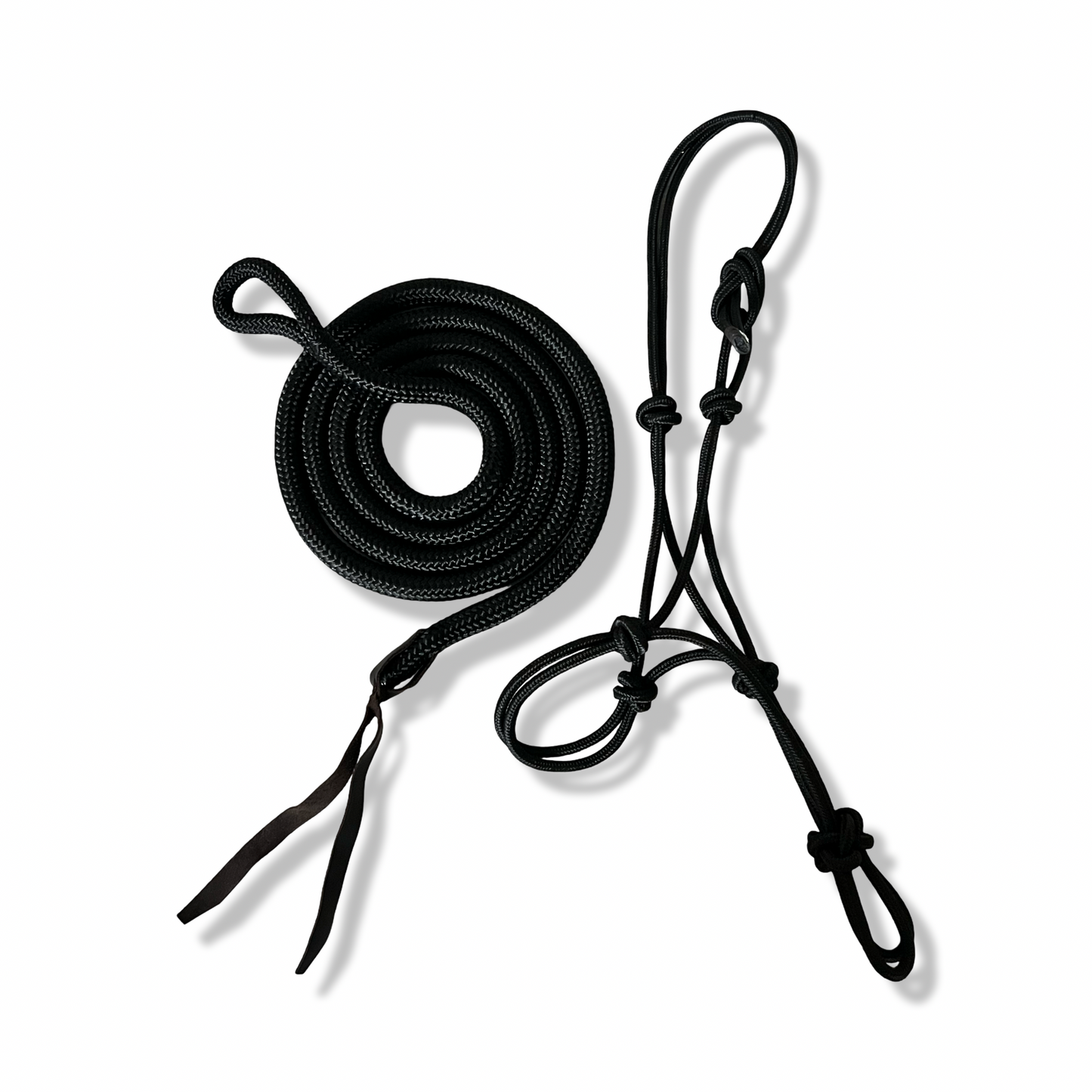 Rope Halter with Lead Rope