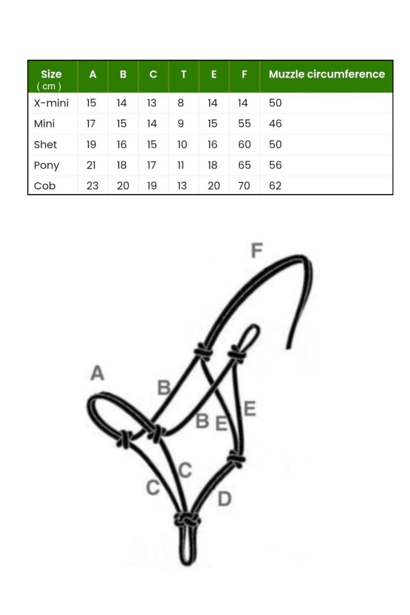 Rope Halter with Lead Rope