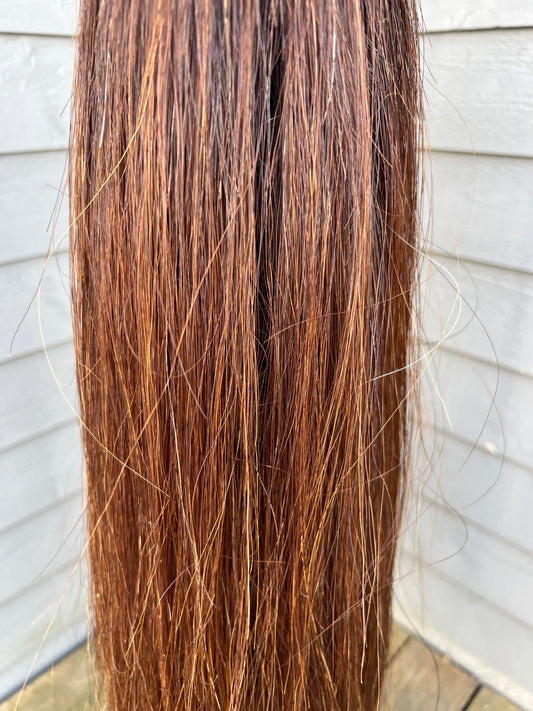 Medium Chestnut Tail Extension
