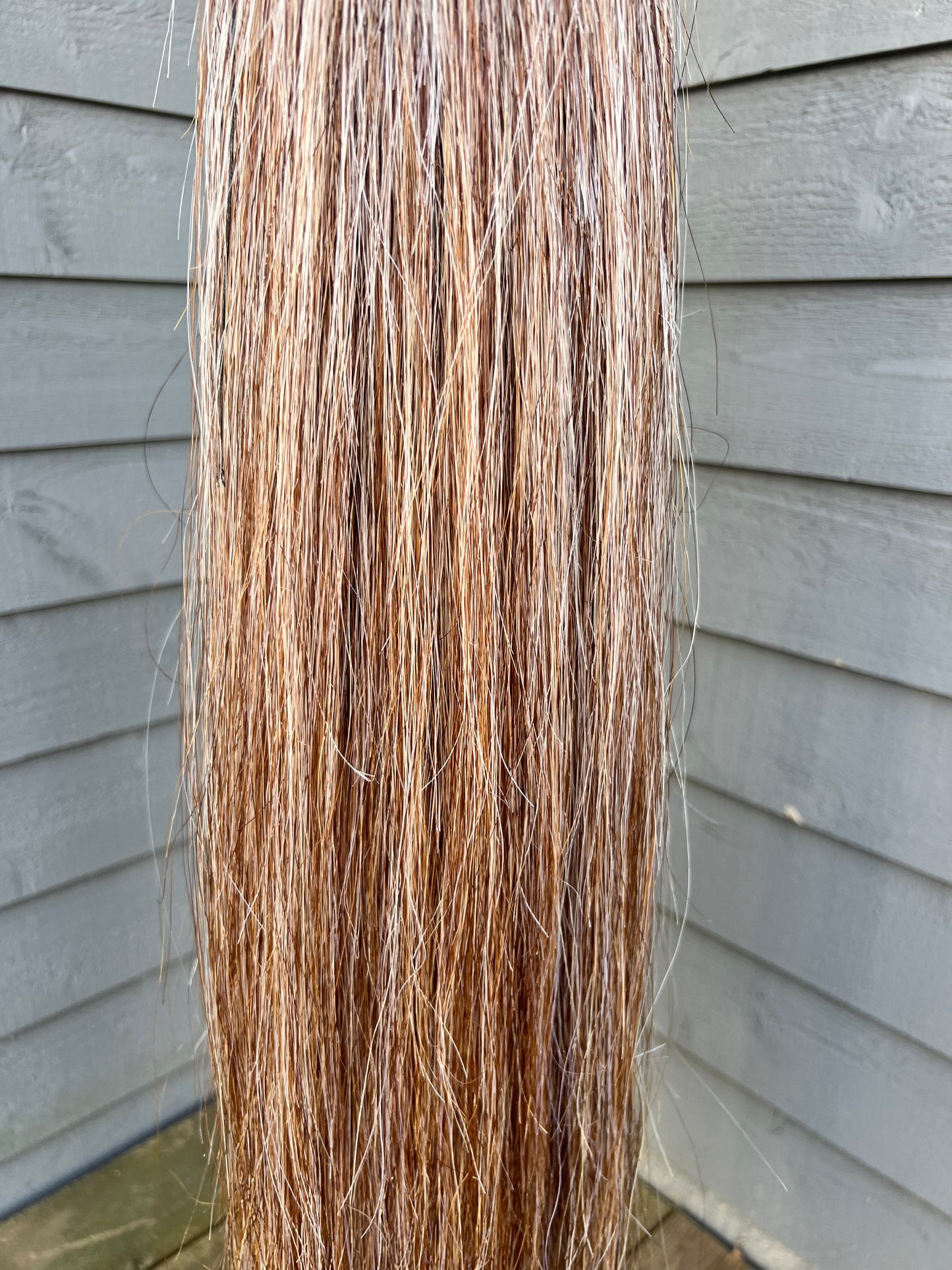 Chestnut & White Tail Extension