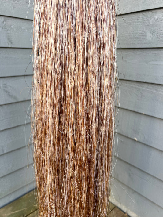 Chestnut & White Tail Extension