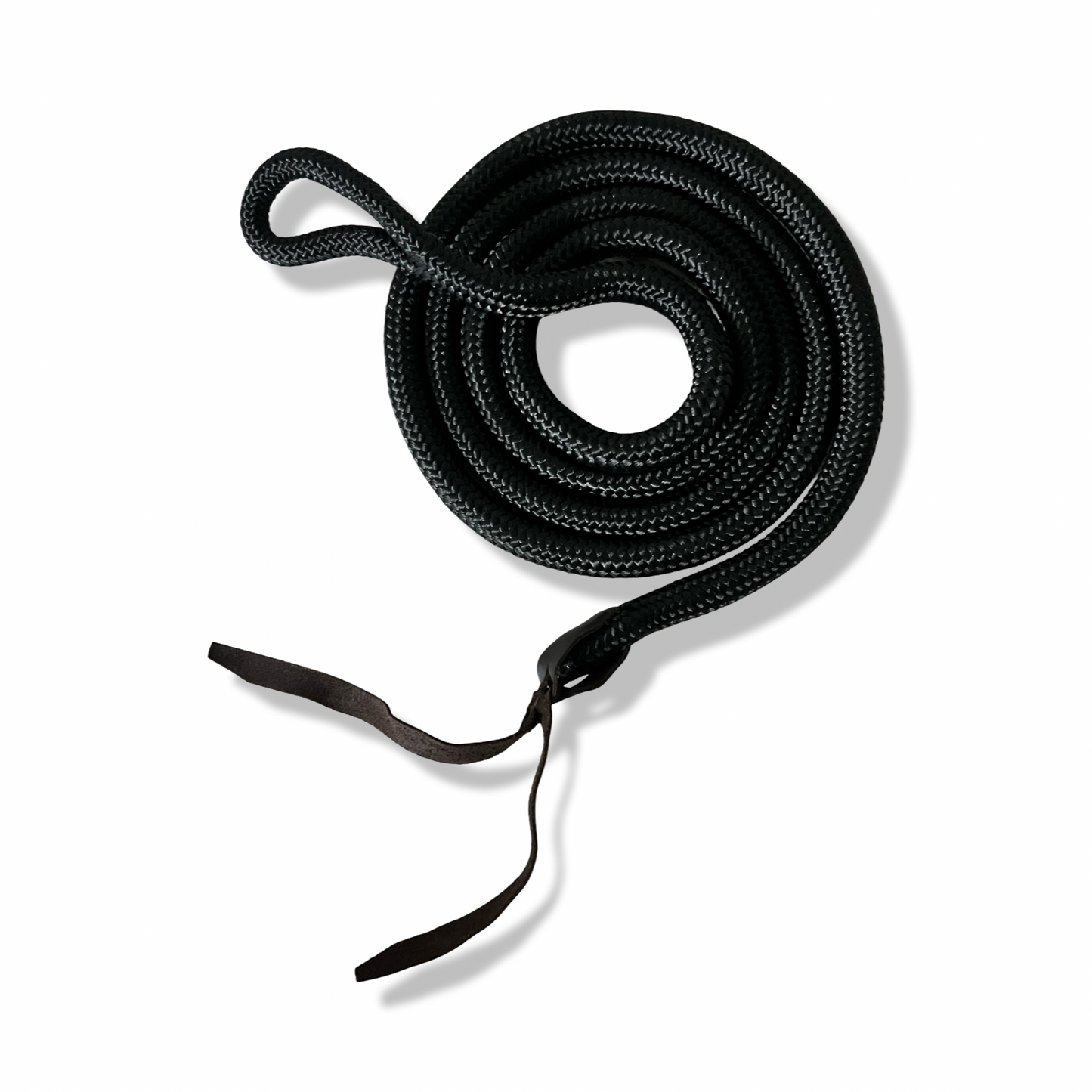 Rope Halter with Lead Rope
