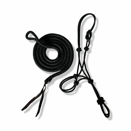 Rope Halter with Lead Rope